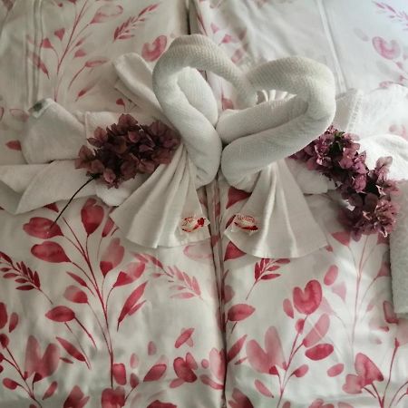 Sun & Love Apartment Κόπερ Εξωτερικό φωτογραφία