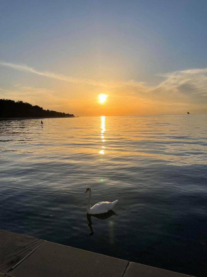 Sun & Love Apartment Κόπερ Εξωτερικό φωτογραφία